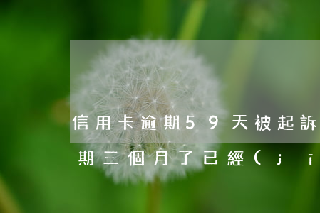 信用卡逾期59天被起訴怎么辦(我信用卡逾期三個月了已經(jīng)被起訴了怎么辦)
