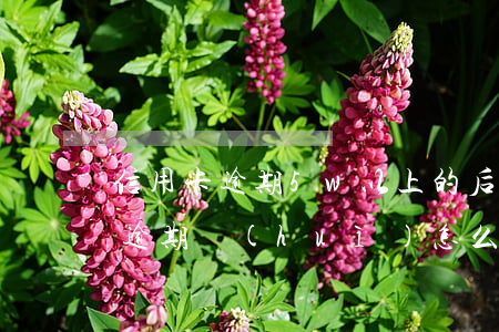 信用卡逾期5w以上的后果(信用5萬以上卡逾期會(huì)怎么樣)