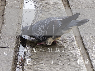 信用卡逾期5w以上被起訴(5萬以上信用卡嚴(yán)重逾期)