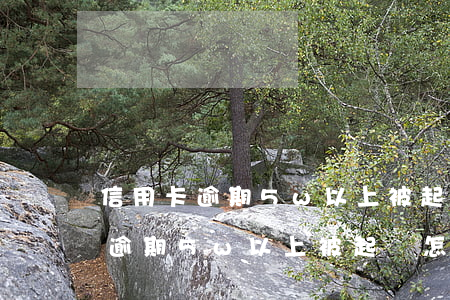 信用卡逾期5w以上被起訴怎么辦-信用卡逾期5w以上被起訴怎么辦呢