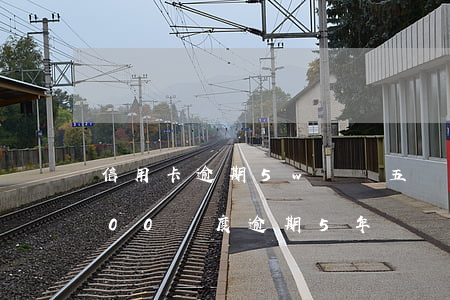 信用卡逾期5w這個五萬怎么定義(信用卡500額度逾期5年)