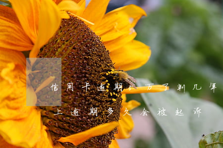 信用卡逾期5万了判几年(信用卡欠款五万以上逾期多久会被起诉)