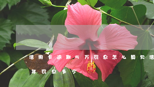 信用卡逾期5万罚息怎么算(欠信用卡5万一年罚息多少)