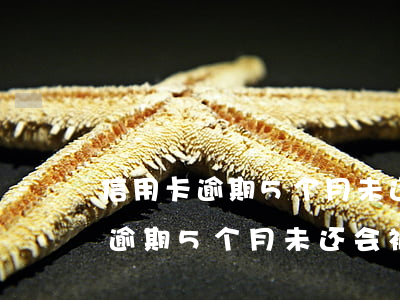 信用卡逾期5个月未还会被拘留吗-信用卡逾期5个月未还会被拘留吗知乎