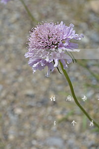 信用卡逾期5个月能解冻到吗-信用卡逾期5个月能解冻到吗吗