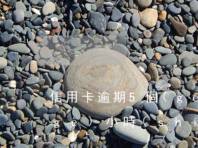 信用卡逾期5個(gè)(信用卡逾期5個(gè)小時(shí)會(huì)有影響嗎)