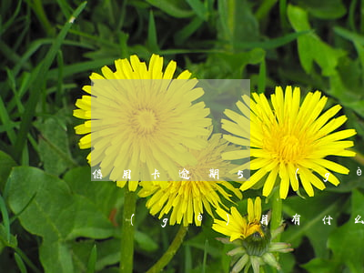 信用卡逾期5個(gè)月-信用卡逾期5個(gè)月有什么后果