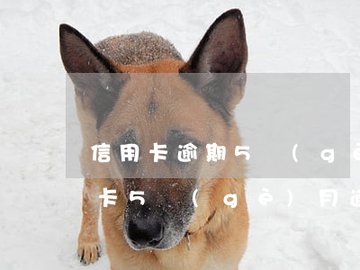 信用卡逾期5個(gè)月后怎么處理(信用卡5個(gè)月逾期狀態(tài))