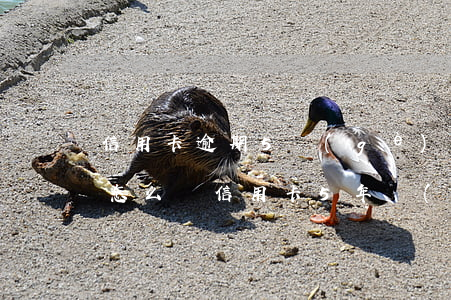 信用卡逾期5個(gè)月后會(huì)怎么樣 信用卡5年內(nèi)有8個(gè)月逾期嚴(yán)重嗎