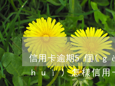 信用卡逾期5個(gè)月后立即銷卡會(huì)怎樣（信用卡逾期5個(gè)月后立即銷卡）