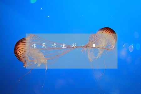 信用卡逾期5個(gè)月后還清