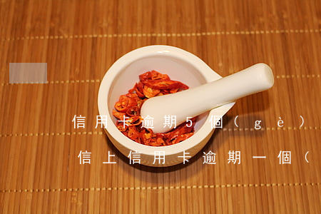 信用卡逾期5個(gè)月多久能清除-征信上信用卡逾期一個(gè)月 什么時(shí)候能消除