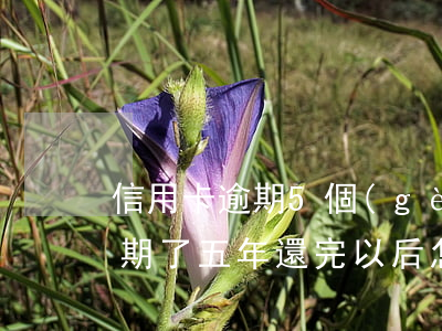 信用卡逾期5個(gè)月已還完(信用卡逾期了五年還完以后怎么辦)