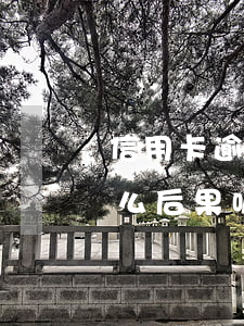 信用卡逾期5個(gè)月會(huì)什么后果呢（信用卡逾期5個(gè)月會(huì)什么后果）