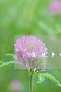 信用卡逾期5個(gè)月會(huì)怎么樣-信用卡逾期5個(gè)月會(huì)怎么樣