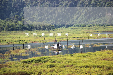 信用卡逾期5個(gè)月會(huì)拉黑嗎(信用卡逾期5個(gè)月會(huì)拉黑嗎)