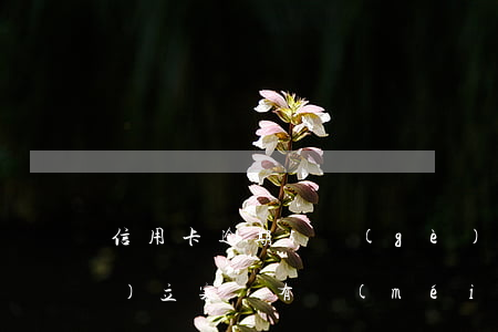 信用卡逾期5個(gè)月未還會(huì)立案嗎(有沒(méi)有信用卡逾期五年的)