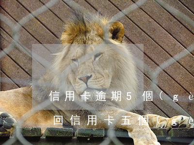 信用卡逾期5個(gè)月沒(méi)有回(信用卡五個(gè)月沒(méi)還了怎么辦)