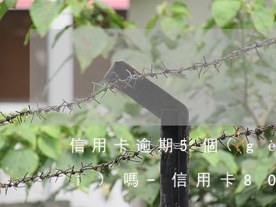 信用卡逾期5個(gè)月還能坐飛機(jī)嗎-信用卡8000逾期兩個(gè)月后還,不能坐飛機(jī)?