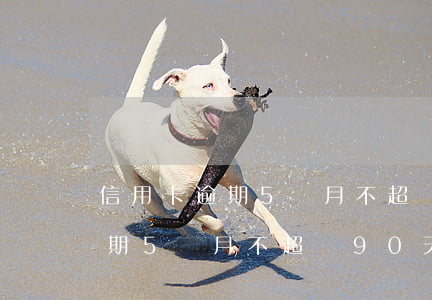 信用卡逾期5個月不超過90天-信用卡逾期5個月不超過90天怎么辦