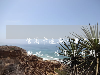 信用卡逾期5個月了怎么協(xié)商還款呢-信用卡逾期5個月了怎么協(xié)商還款呢