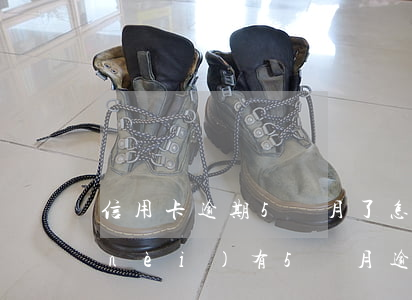 信用卡逾期5個月了怎么辦(信用卡5年內(nèi)有5個月逾期)