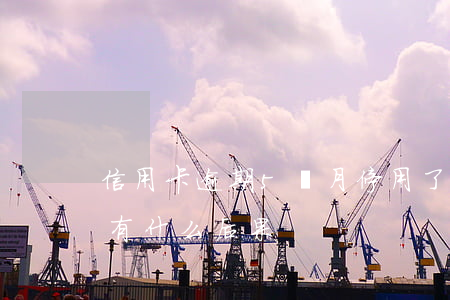 信用卡逾期5個月停用了(信用卡逾期5個月有什么后果)