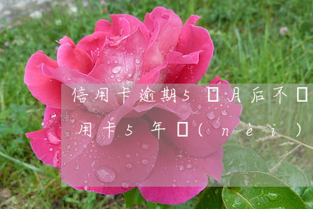 信用卡逾期5個月后不聯(lián)系(信用卡5年內(nèi)有5個月處于逾期狀態(tài)是什么意思)