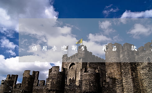 信用卡逾期5個月后還款嗎 忘記還信用卡逾期5天