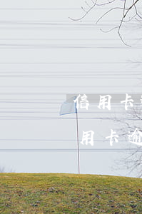 信用卡逾期5個月怎么恢復(fù)(5張信用卡逾期3個月了怎么辦)