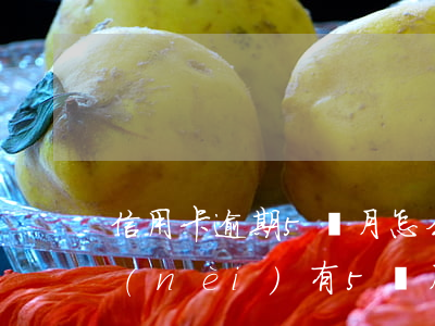 信用卡逾期5個月怎么消除6(信用卡5年內(nèi)有5個月處于逾期狀態(tài)是什么意思)