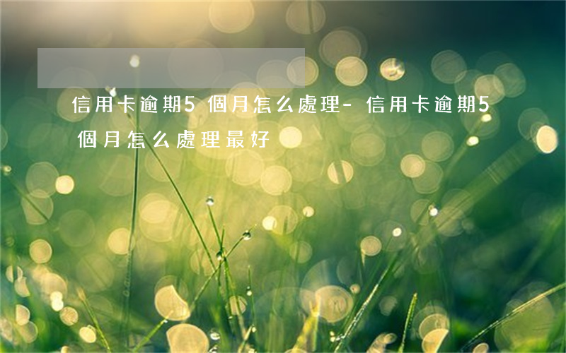 信用卡逾期5個月怎么處理-信用卡逾期5個月怎么處理最好