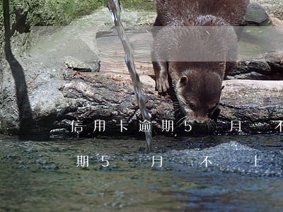 信用卡逾期5個月會不會上門抓人（信用卡逾期5個月會不會上門）
