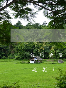 信用卡逾期5個月未還款會怎么樣-信用卡逾期5個月未還款會怎么樣嗎