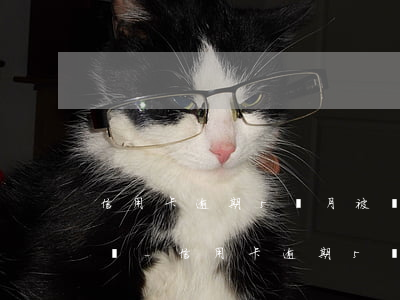 信用卡逾期5個月被凍結(jié)了怎么辦-信用卡逾期5個月被凍結(jié)了怎么辦呢