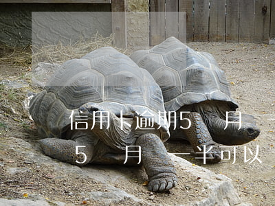 信用卡逾期5個月還一半可以嗎(信用卡逾期5個月還一半可以嗎)
