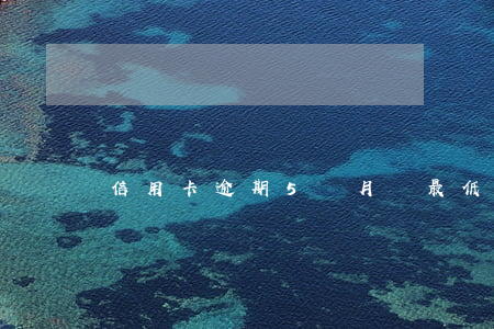 信用卡逾期5個月還最低(信用卡逾期五個月)