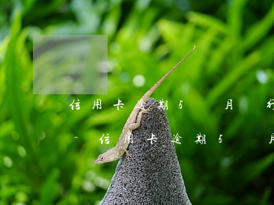 信用卡逾期5個月銀行卡被凍結(jié)-信用卡逾期5個月銀行卡被凍結(jié)怎么辦