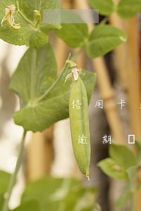 信用卡逾期5個月銀行說報案(信用卡5塊錢逾期兩天)
