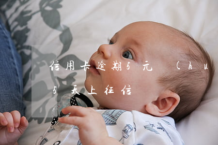 信用卡逾期5元會(huì)上征信嗎(逾期5天上征信嗎)