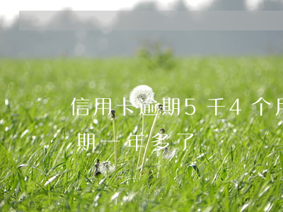 信用卡逾期5千4个月-信用卡4.5万逾期一年多了