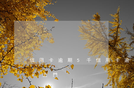 信用卡逾期5千(信用卡逾期5千會(huì)上門)