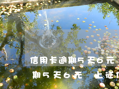 信用卡逾期5天6元會上征信嗎-信用卡逾期5天6元會上征信嗎知乎