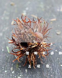 信用卡逾期5天上征信了怎么辦-5天逾期上征信嗎