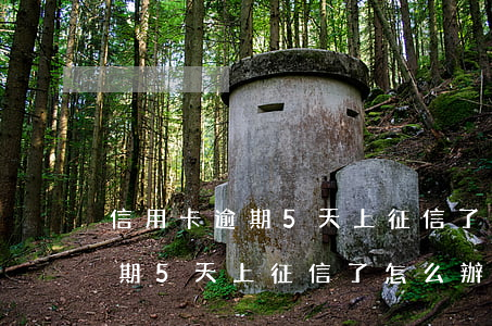 信用卡逾期5天上征信了怎么辦-信用卡逾期5天上征信了怎么辦啊