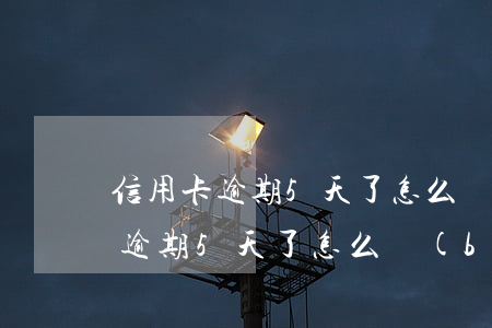 信用卡逾期5天了怎么補(bǔ)救 信用卡逾期5天了怎么補(bǔ)救呢