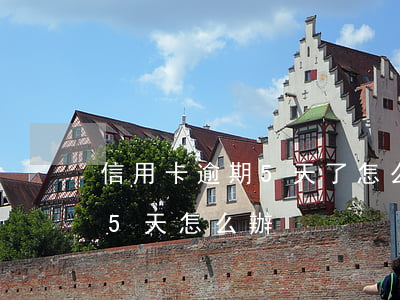 信用卡逾期5天了怎么辦(信用卡不小心逾期5天怎么辦)
