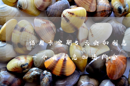 信用卡逾期5天会扣利息吗(5万信用卡逾期一个月利息加违约金)