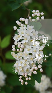 信用卡逾期5天公積金貸款嗎(公積金貸款逾期5天會上征信嗎)