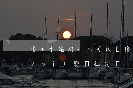 信用卡逾期5天可以嗎 信用卡5天逾期會(huì)影響征信嗎